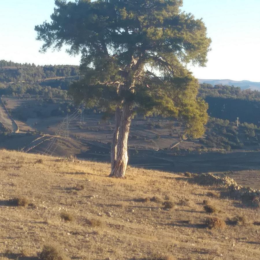 Hostal Portell Portell de Morella 外观 照片